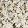 Гипсофила махровая, сухоцвет, объемная сушка 7-10 мм, белый, ( 10-15 штук/уп) - 